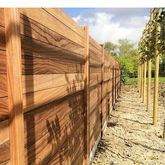 Panneau Rabat en padouk