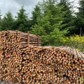 Naaldhouten ronde palen brut met schors - dia. 10-12cm