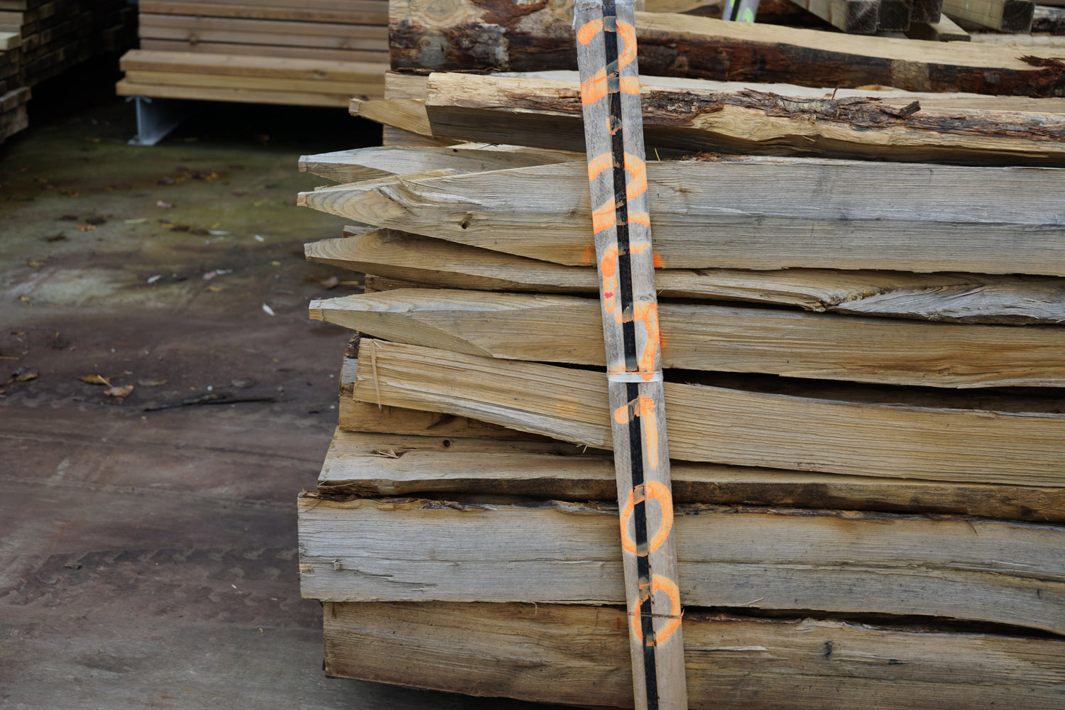 Gekloven kastanje palen gepunt- dia. 10/12