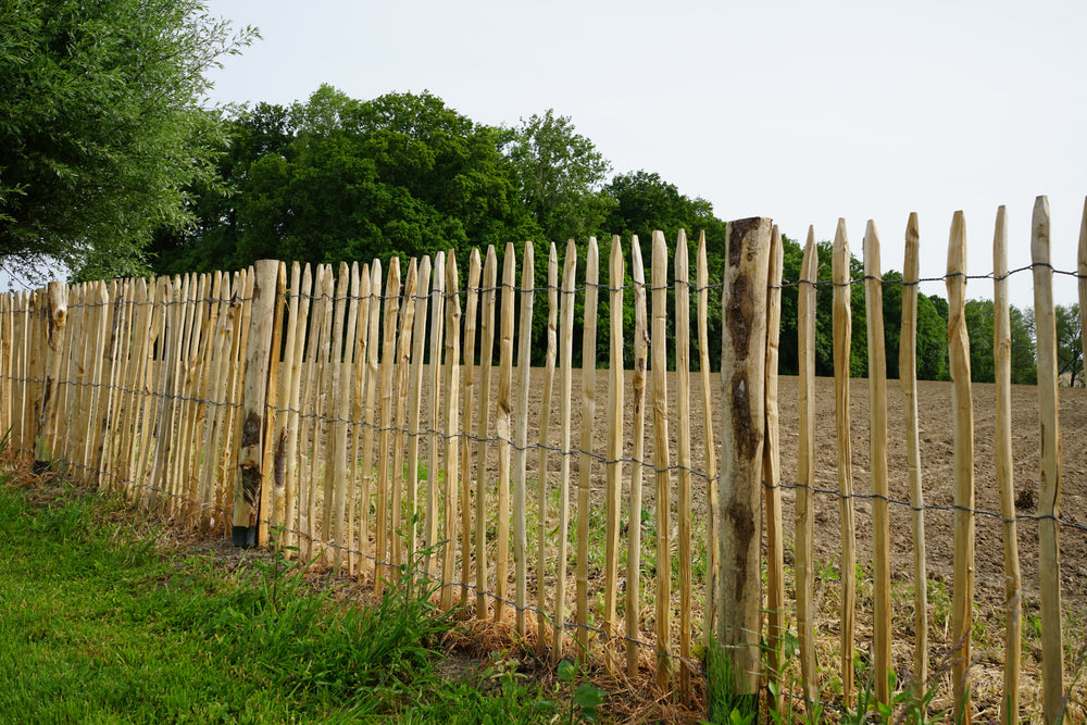 Kastanje hekwerk houten schapenomheining 