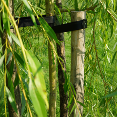 Duurzame kastanje paal gebruikt als natuurlijke boomsteun