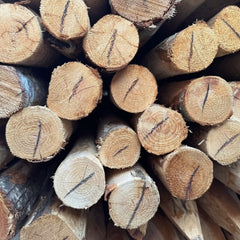 Detail van gepunte kastanjehouten paal 6-8 cm diameter