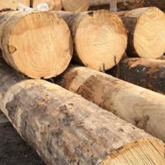 Kastanje palen van een diameter 16 tot 20cm. Funderingspalen en palen voor constructies.