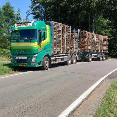 Naaldhouten ronde palen brut geladen op vrachtwagen levering rondhout naaldhout diameter 10-12 cm funderingspalen