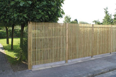 Claustra Domino
