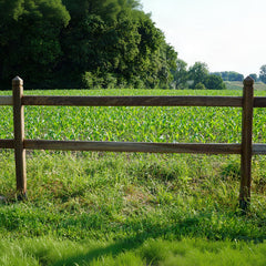 Clôture pour chevaux - bois dur tropical - poutre