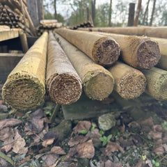 Grenen palen onder druk groen geimpregneerd klasse 4 in het bos gepunt diameter 6 cm lengte 2m50