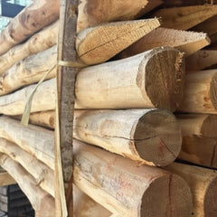 Robinia paal diameter 10 12 cm op lengte van 180 cm