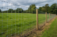 EstateWire Crapal maille 5cm H: 120cm L: 50m