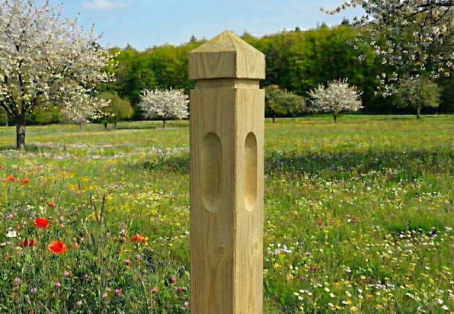 Clôture pour chevaux - Pin rouge de Norvège à tête de diamant