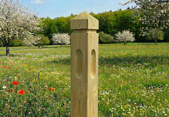 Clôture équestre - Pin rouge de Norvège - Poteau d'angle